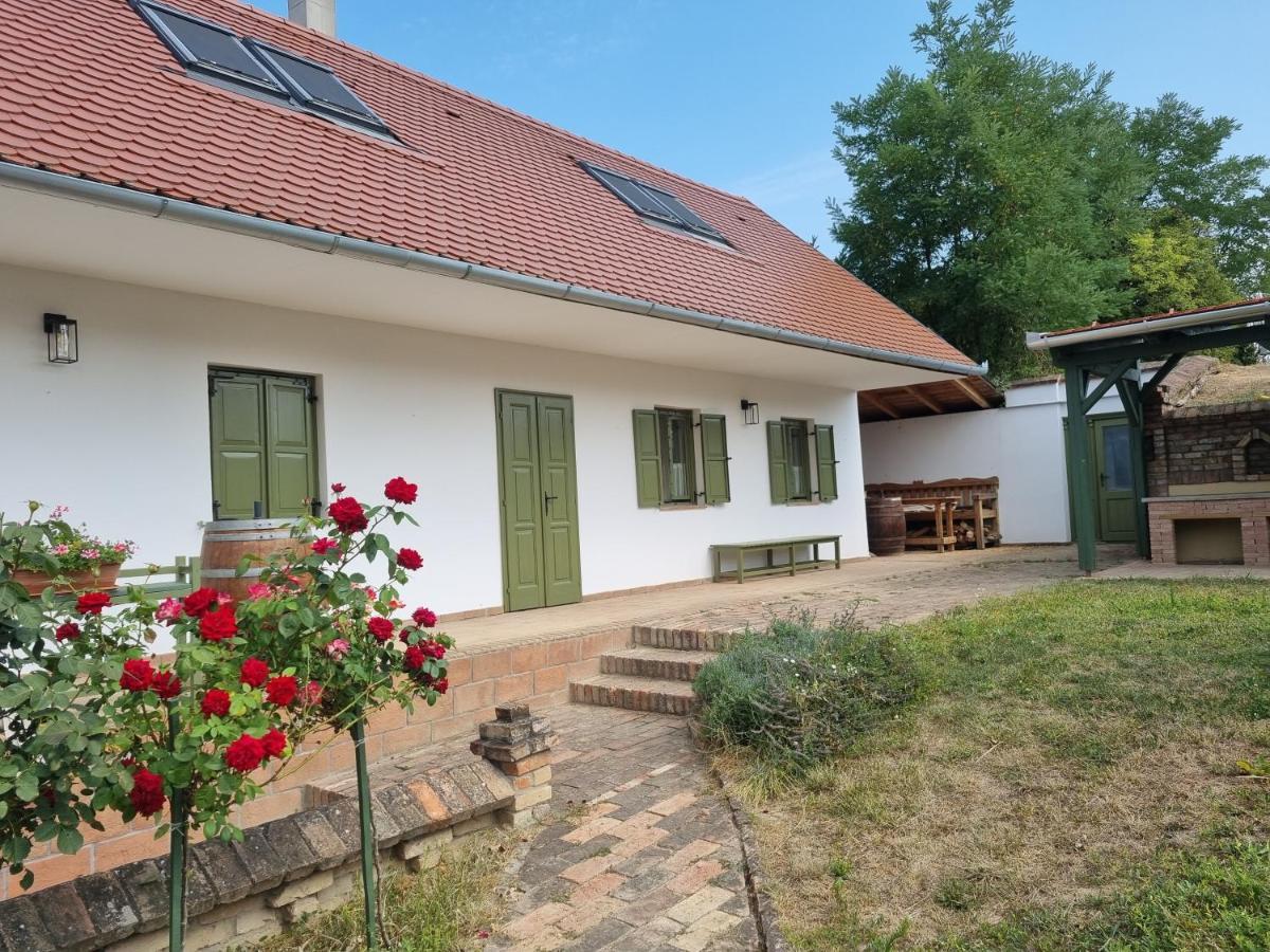 Villa Tulipános Palkonya Esterno foto