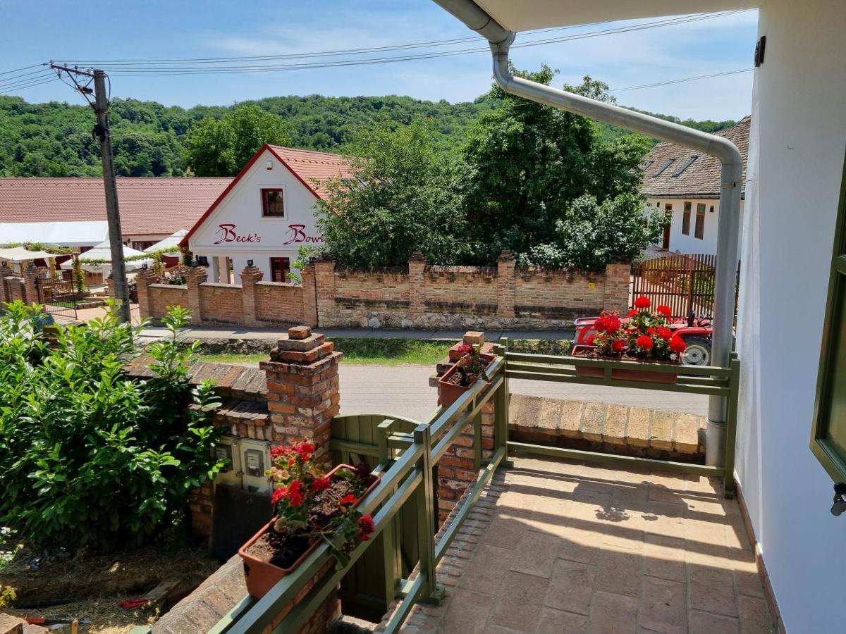 Villa Tulipános Palkonya Esterno foto