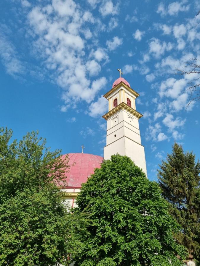Villa Tulipános Palkonya Esterno foto