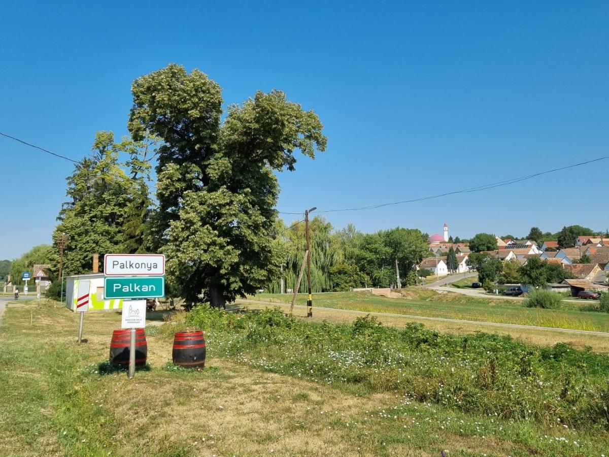 Villa Tulipános Palkonya Esterno foto